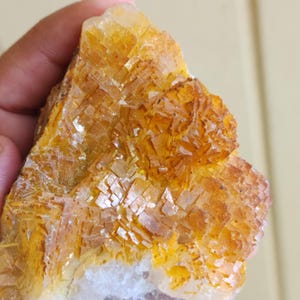 May include: A close-up of a rough, natural mineral specimen. The stone features a complex crystalline structure with a mix of golden yellow and orange hues. The base of the stone has a white and translucent appearance.