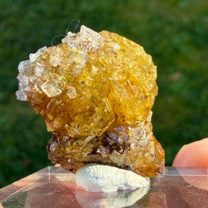 May include: A close-up of a golden-yellow mineral specimen with crystalline structures. The mineral has a rough, textured surface and is partially covered with clear, sparkling crystals. It rests on a small, white, oval-shaped base.