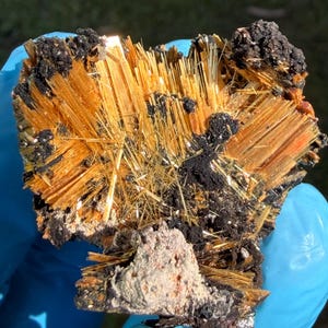 Könnte beinhalten: Nahaufnahme einer Mineralprobe mit gold-orangen, nadelförmigen Kristallen. Die Kristalle sind mit schwarzen, körnigen Formationen und einer hellfarbigen, porösen Basis vermischt. Die Probe wird in einer blau behandschuhten Hand gehalten.