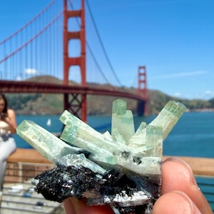 Op de afbeelding: Een cluster van lichtgroene kristalformaties, mogelijk toermalijn, met een donkere, mineraalrijke basis. De Golden Gate Bridge is zichtbaar op de achtergrond onder een heldere blauwe lucht. De kristallen worden in een hand gehouden.