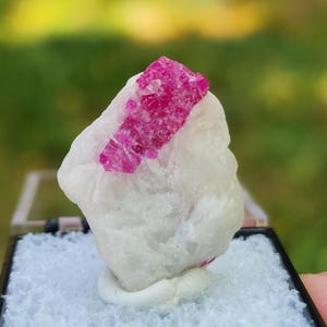 May include: A raw mineral specimen featuring a vibrant, deep pink crystal embedded within a textured, opaque white matrix. The stone is displayed upright in a small, square black container filled with white granular material for support.