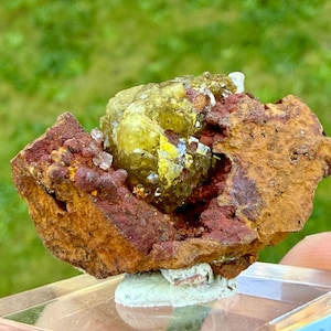 May include: A close-up of a mineral specimen featuring a cluster of yellow-green crystals atop a reddish-brown matrix. The crystals have a sparkling, reflective quality. The matrix has a rough, textured appearance, with areas of deep red and brown.