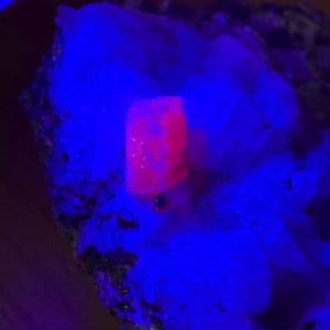 ロシア北部ヒト島産天然コランダム変種ルビー、蛍光性、未処理標本、58グラム、米国トップクリスタルズ