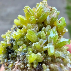 May include: Close-up of a cluster of bright lime-green crystals. The crystals are sharply pointed and clustered together, with a rough, brown base. The overall appearance is natural and mineral-like, with a focus on the vibrant color and crystalline structure.