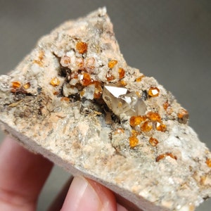 Spessartine Garnet Cluster with Smoky Quartz Specimen from Afghanistan Spessartine Garnet on Matrix Self Stand, US TOP Crystals