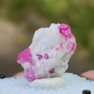 May include: A cluster of pink ruby crystals embedded in a white matrix. The crystals are translucent and have a glassy luster.