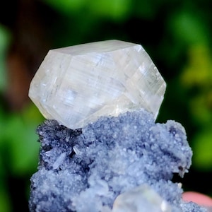 Könnte beinhalten: Nahaufnahme einer hellfarbigen, kristallinen Mineralformation. Der Hauptkristall ist eine große, vielseitige Form, die auf einem Bett aus kleineren, dunkelblau-grauen Kristallen ruht. Der Hintergrund ist ein verschwommenes Grün.