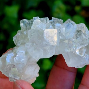 Op de afbeelding: Een cluster van heldere, kristallijne mineralen, mogelijk kwarts, in een hand. De kristallen zijn facetrijk en reflecteren licht. De achtergrond is een vage groene kleur, wat op bladeren duidt.