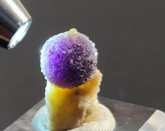 Sample Specimen of Cute and Super Rare Purple Fluorite from Zhejiang, Natural Round Shape Formation, US Seller