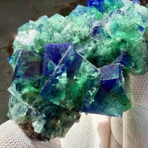 May include: A cluster of translucent fluorite crystals featuring sharp cubic formations. The mineral specimen displays a vibrant gradient of deep royal blue and bright emerald green hues, with internal fractures and crystalline textures visible throughout.