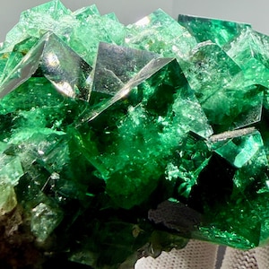 May include: A cluster of vibrant green fluorite crystals featuring sharp, geometric cubic structures with translucent surfaces that catch the light, displaying deep emerald hues and internal fractures throughout the mineral specimen.