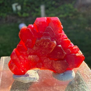 Könnte beinhalten: Ein leuchtend roter Kristallcluster mit einer komplexen, geometrischen Struktur. Der Kristall ist auf zwei kleinen, grauen, abgerundeten Steinen montiert. Der Hintergrund ist unscharf, was auf eine Umgebung im Freien hindeutet und die Farbe und Form des Kristalls hervorhebt.
