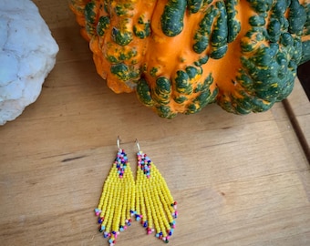 Beaded fringe earrings
