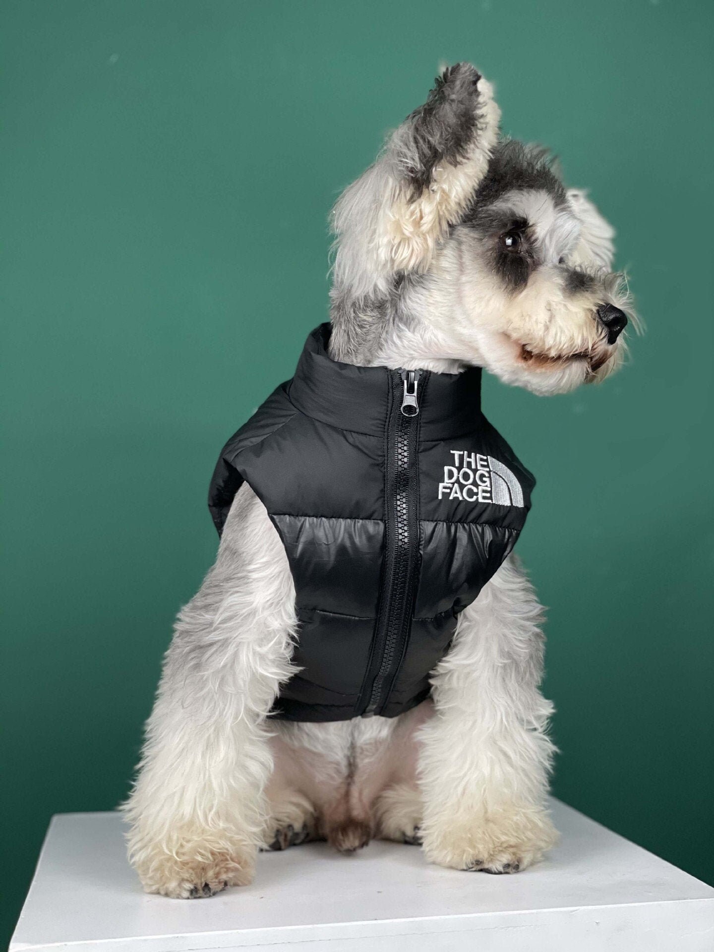 The Dog Face Jacket
 Black The Dog Face Puffer Padded Dog Coat