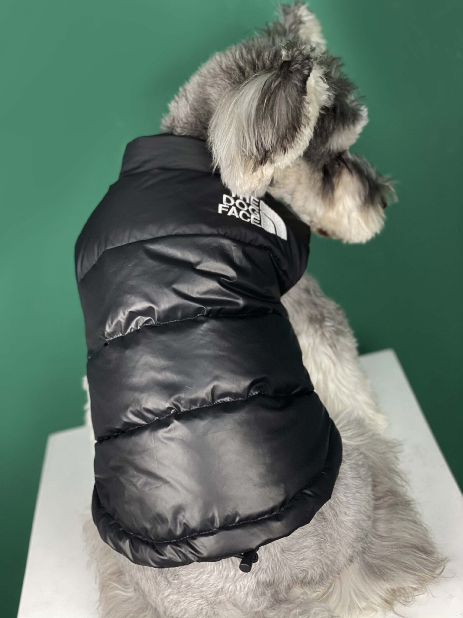 Black The Dog Face Puffer Padded Dog Coat Etsy