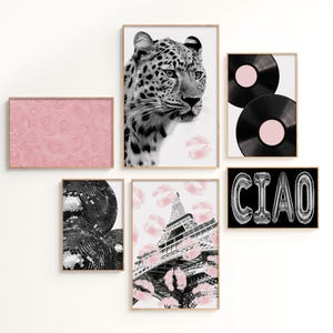 May include: A collection of framed art prints featuring a leopard, vinyl records, a disco ball, the Eiffel Tower, and the word "CIAO". The prints have a black, white, and pink color scheme, with a modern aesthetic.