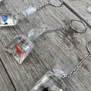 Fish Bag Charm Keychain