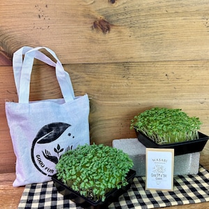 GFY Gardens Microgreens Grow Kit, Microgreens, Sprouting Kit, Greens, Growing Microgreens, Microgreen Gift, Garden Gift, Great For Dorms
