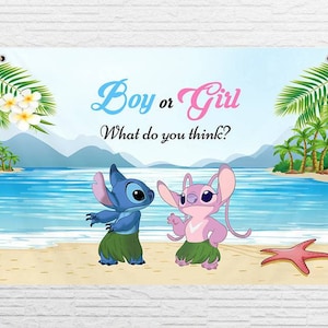 Lilo Stitch Angel Baby Gender Reveal Personalised Background Backdrop Banner