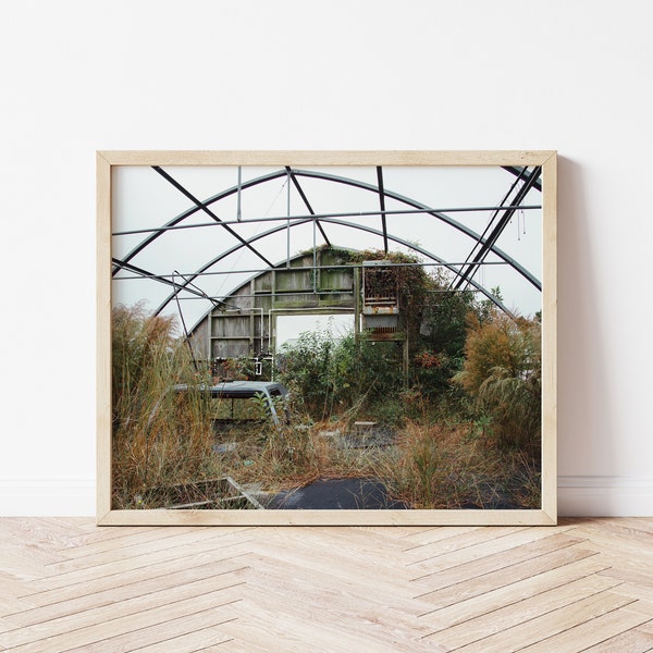 Forgotten, Eastern Shore Overgrown Magical Greenhouse Abandoned Photo Digital Printable Art Print