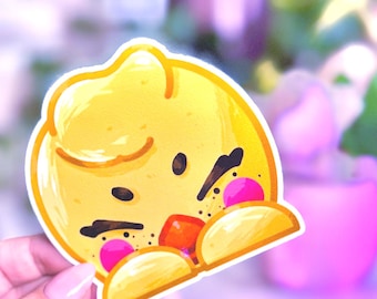 SKZOO Car Sticker: Stray Kids Waterproof Peeker Decal