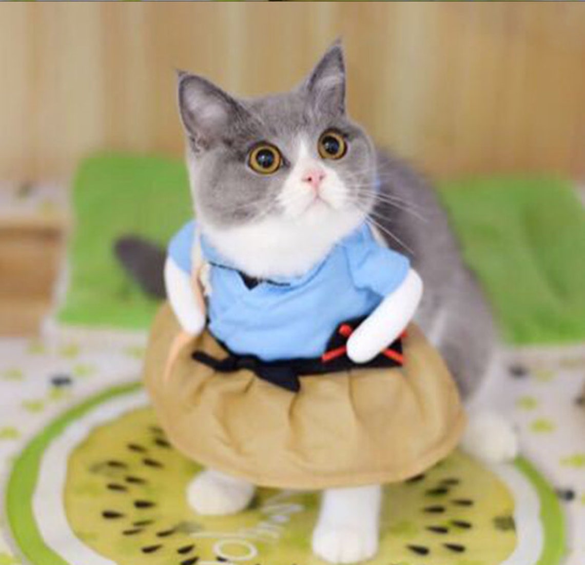 Funny Cat Clothes Cat shirt Cat Dog Dressing Costume Suit Etsy