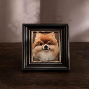 Könnte beinhalten: Gerahmtes Porträt eines Zwergspitzes. Der Hund hat flauschiges, orange-weißes Fell, dunkle Augen und eine schwarze Nase. Das Porträt befindet sich in einem schwarzen Rahmen mit einem goldenen Innenrand, vor einem dunkelbraunen Hintergrund.