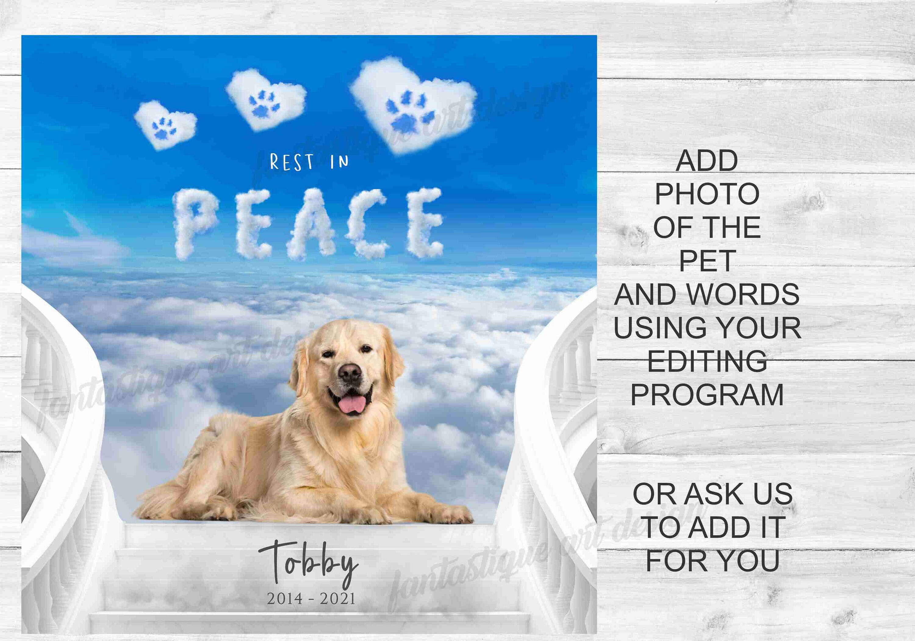 Memorial Pet PNG Dog in Heaven Background Cat in Heaven Etsy Australia