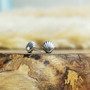 May include: A pair of silver seashell stud earrings on a wooden surface.