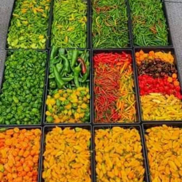 5 pack variety of hot pepper seeds