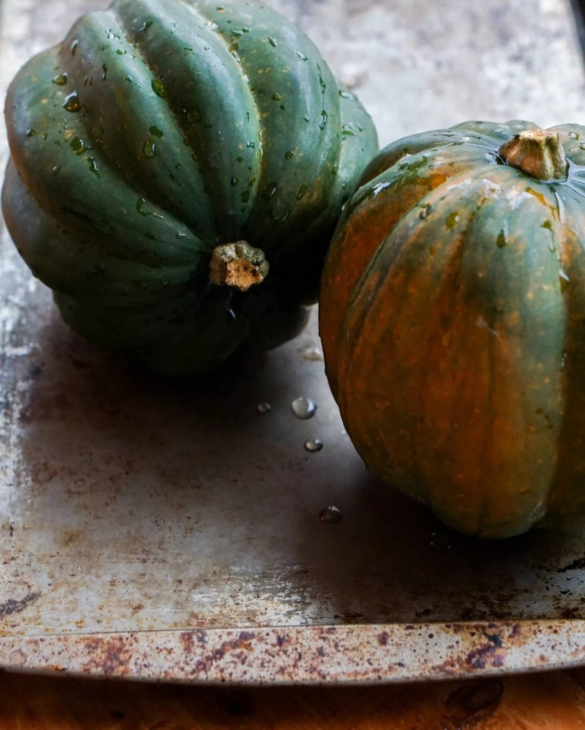 Acorn Squash Seeds 10 Etsy