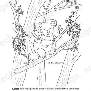 Animal Facts Printable Coloring & Activity Book Kids Coloring Pages Digital Instant Download image 3