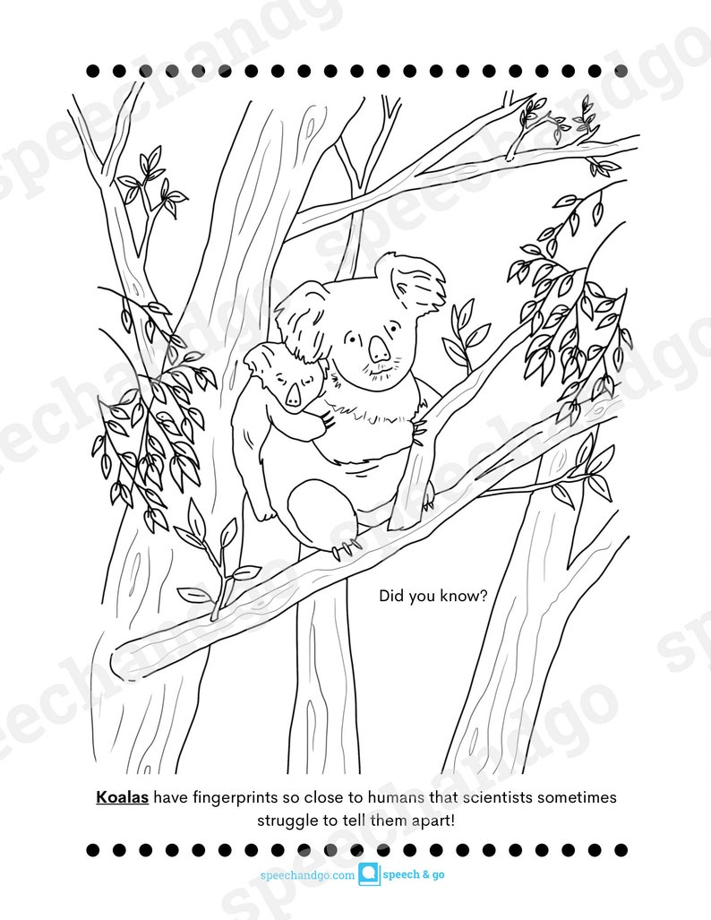 Animal Facts Printable Coloring & Activity Book Kids Coloring Pages Digital Instant Download image 3