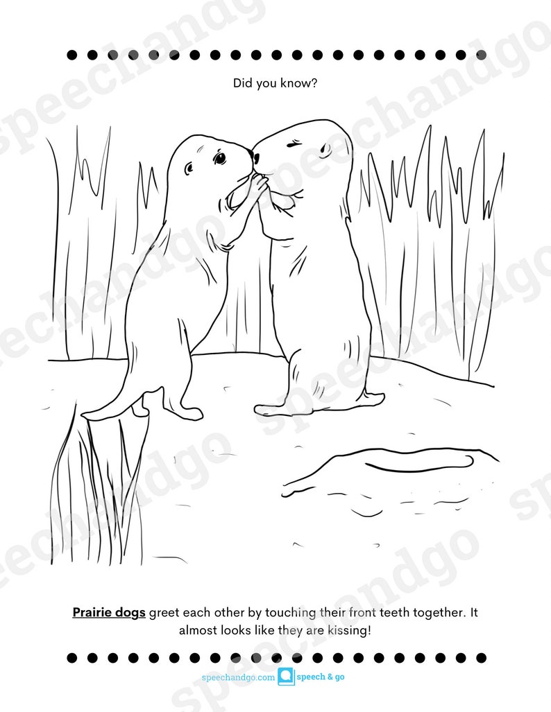 Animal Facts Printable Coloring & Activity Book Kids Coloring Pages Digital Instant Download image 8