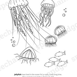 Under the Sea Animals Printable Coloring & Activity Book Kids Coloring Pages Digital Instant Download image 7