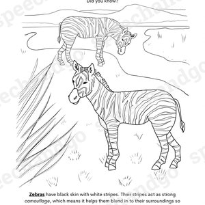 Animal Facts Printable Coloring & Activity Book Kids Coloring Pages Digital Instant Download image 6