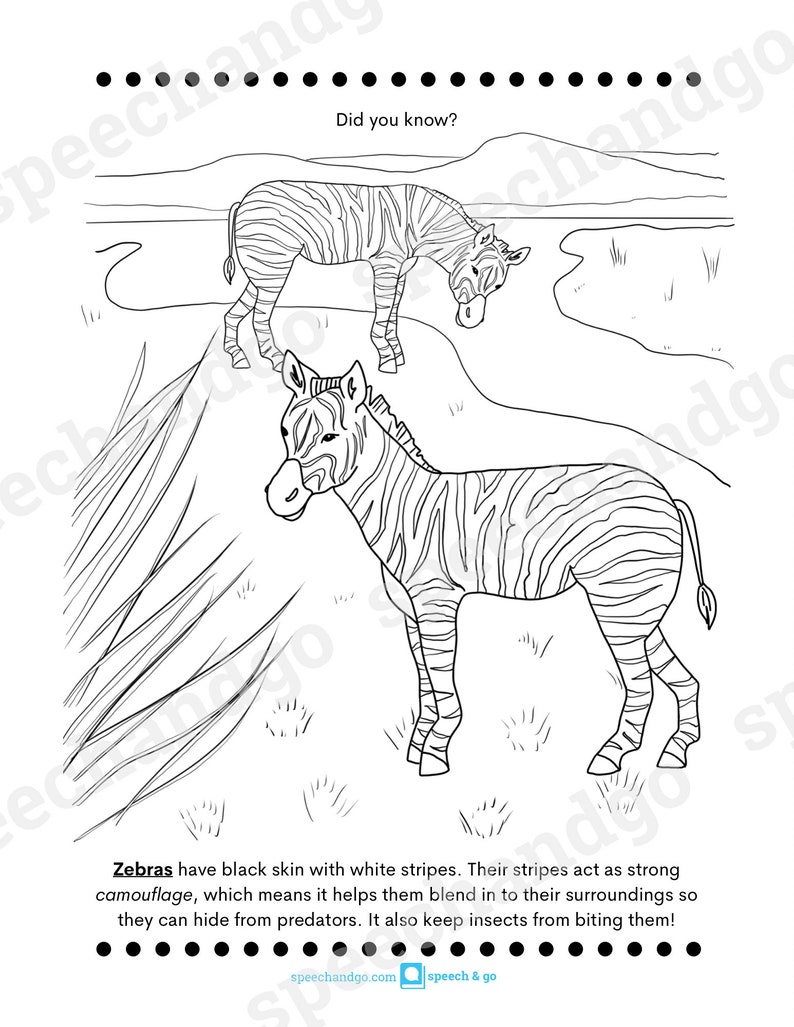 Animal Facts Printable Coloring & Activity Book Kids Coloring Pages Digital Instant Download image 6