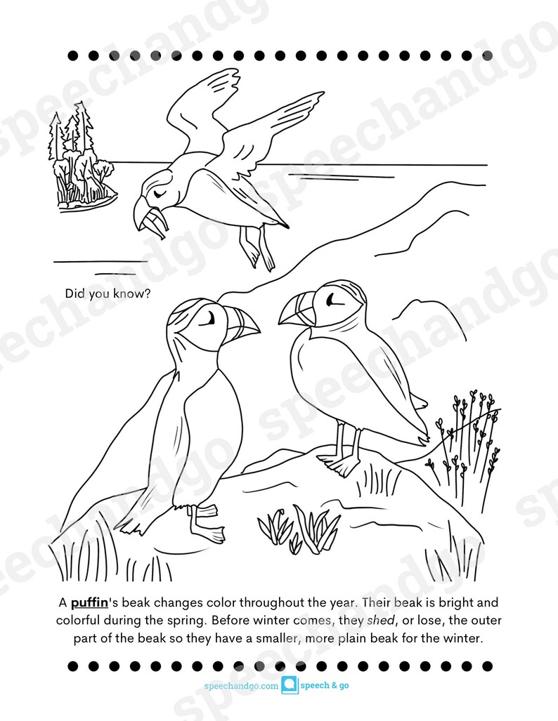 Animal Facts Printable Coloring & Activity Book Kids Coloring Pages Digital Instant Download image 4
