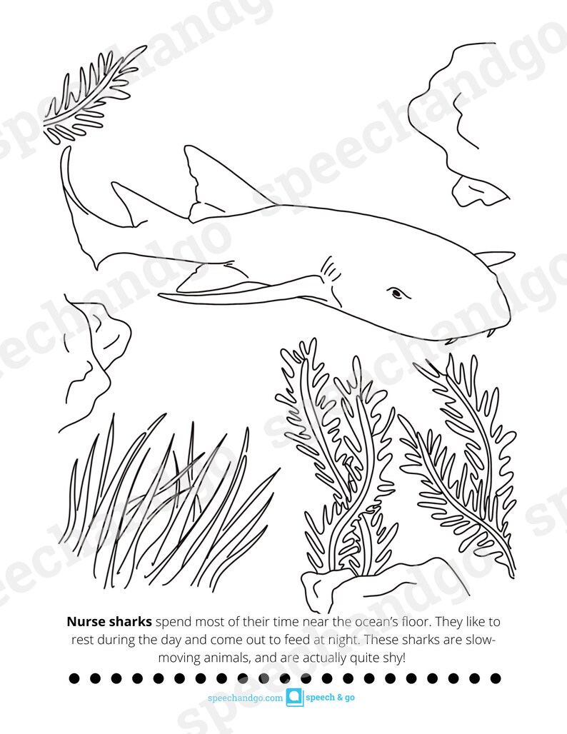 Under the Sea Animals Printable Coloring & Activity Book Kids Coloring Pages Digital Instant Download image 5