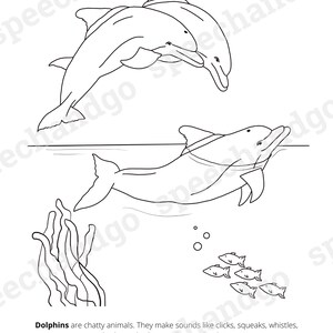 Under the Sea Animals Printable Coloring & Activity Book Kids Coloring Pages Digital Instant Download image 4