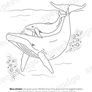 Under the Sea Animals Printable Coloring & Activity Book Kids Coloring Pages Digital Instant Download image 8