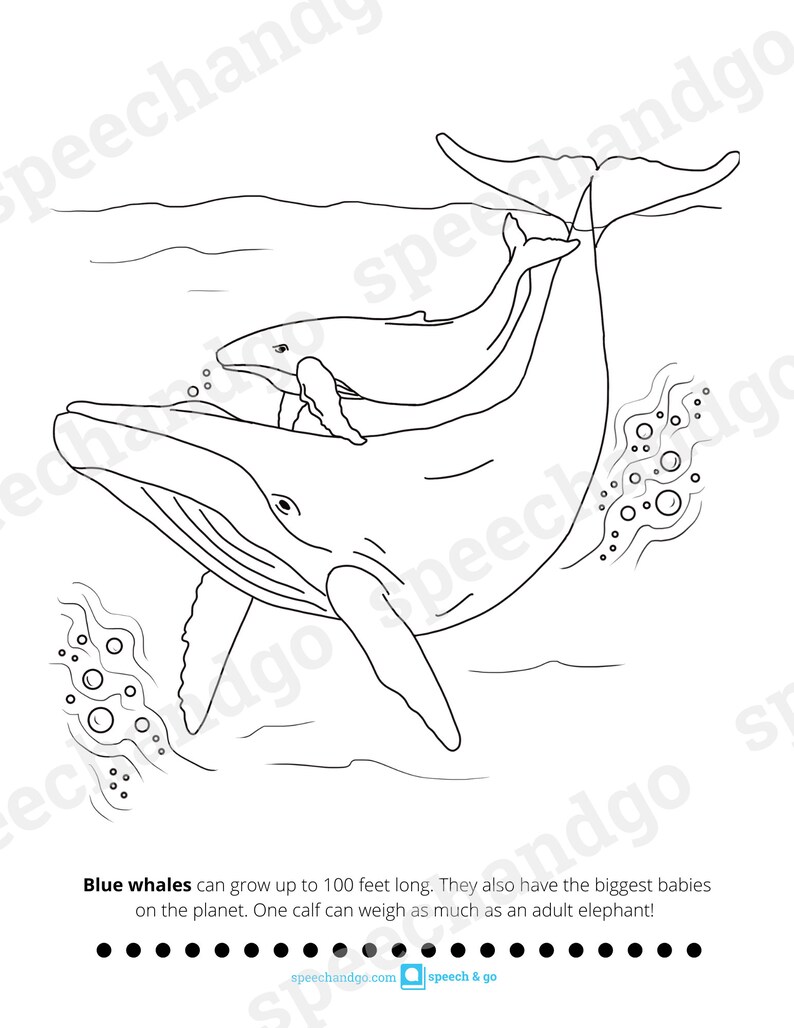 Under the Sea Animals Printable Coloring & Activity Book Kids Coloring Pages Digital Instant Download image 8