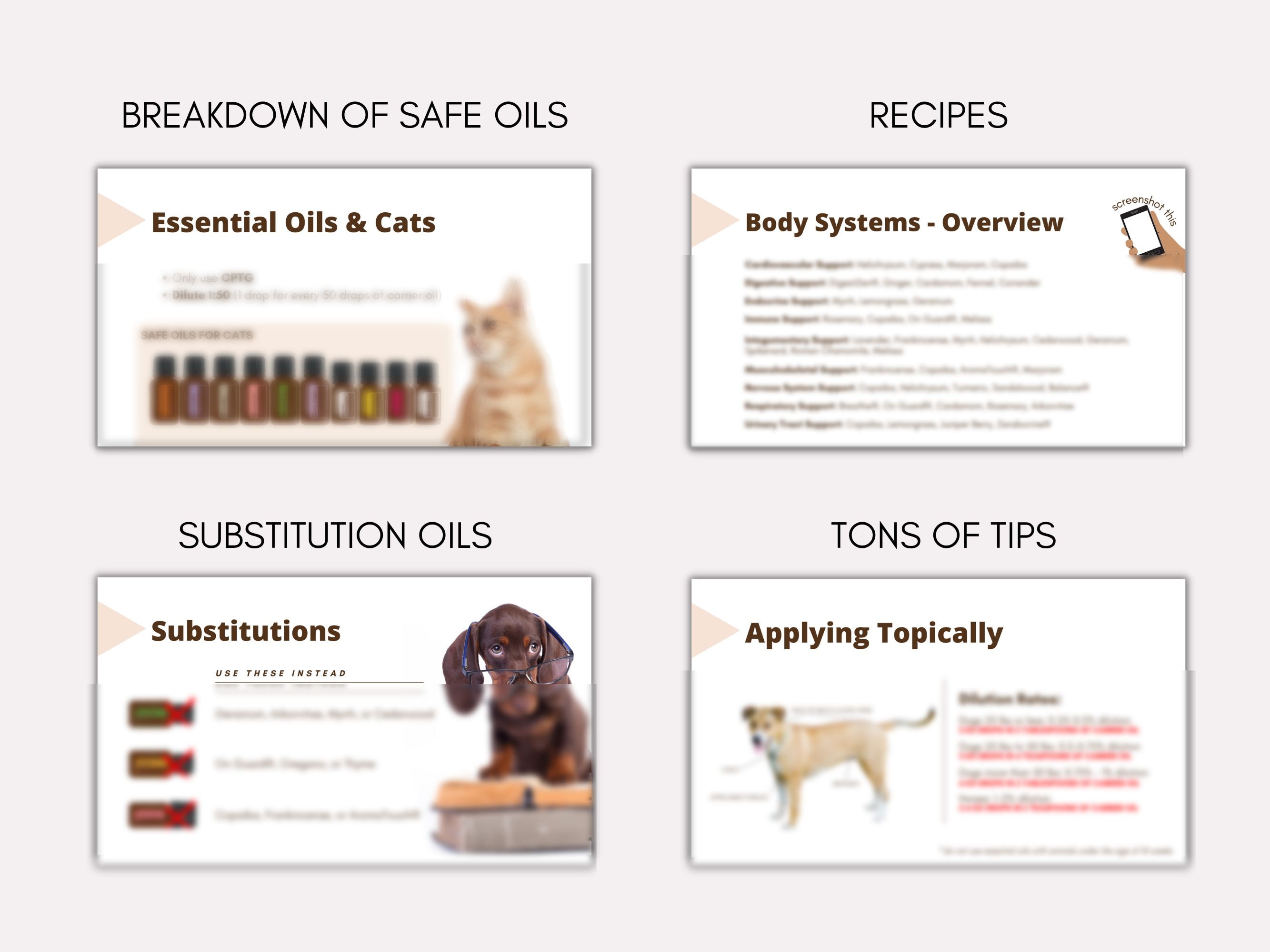 Essential Oils for Pets Animals Class I Doterra Online Class Essential Oils for Dog Cats and Horses Etsy