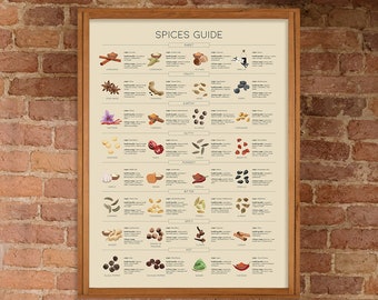 Types of Spices Print, Vintage Spices Guide, Kitchen Wall Decor, Food Illustration, Spice Chart, Cooking Spices Printable, Food Infographic,