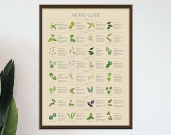Types of Herbs Print, Herb Guide, Kitchen Wall Decor, Cottage Core Wall Art, Herb Chart, Cooking Herbs Printable, Seasonings Infographic,