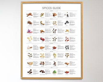 Types of Spices Print, Spices Guide, Kitchen Wall Decor, Food Illustration, Spice Chart, Cooking Spices Printable, Seasonings Infographic,