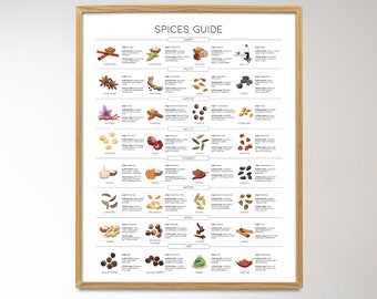 Arten von Gewürzen Print, Gewürzführer, Küche Wanddekor, Food Illustration, Gewürztabelle, Kochen Gewürze druckbar, Gewürze Infografik,