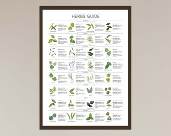 Types of Herbs Print, Herb Guide, Kitchen Wall Decor, Cottage Core Wall Art, Herb Chart, Cooking Herbs Printable, Seasonings Infographic,