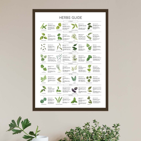 Types of Herbs Print, Herb Guide, Kitchen Wall Decor, Cottage Core Wall Art, Herb Chart, Cooking Herbs Printable, Seasonings Infographic,