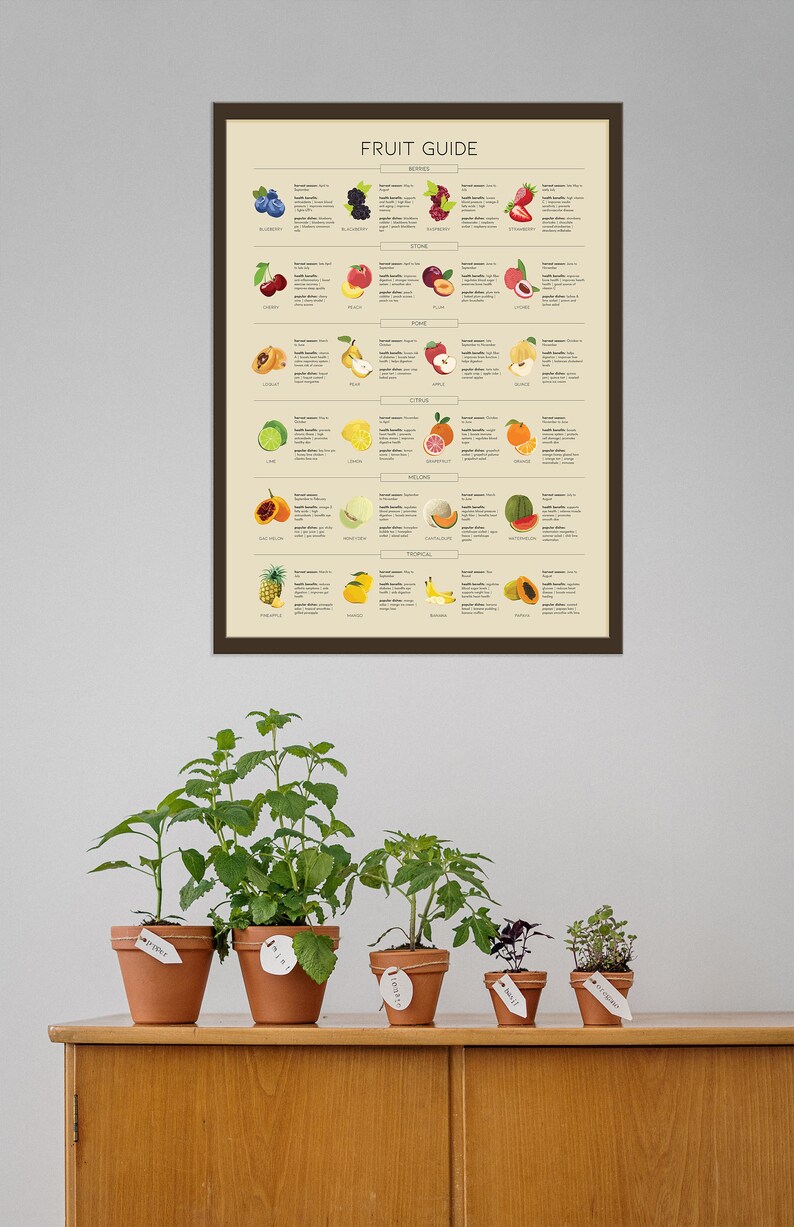 Fruit Guide Poster, Types of Fruit Print, Minimalist Kitchen Wall Decor ...